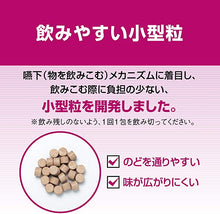 將圖片載入圖庫檢視器 樂敦製藥 Pan Shiron Active 55ST 胃腸錠 14包