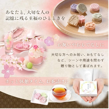 將圖片載入圖庫檢視器 Balanced Food 傳統花兔和三盆糖和菓子 (完售)