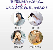 將圖片載入圖庫檢視器 小林製藥 命之母 更年期障礙調養錠 168錠