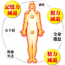 將圖片載入圖庫檢視器 摩耶堂製藥 金蛇精 男性荷爾蒙改善糖衣錠 (120錠/300錠)