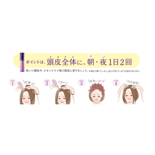 將圖片載入圖庫檢視器 SUNTORY 三得利 Flowrich 藥用生髮劑 育毛劑 120ml (非醫藥品)