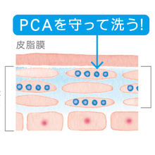 將圖片載入圖庫檢視器 FANCL 芳珂 滋潤泡沫洗面乳 粉狀 50g