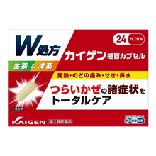 將圖片載入圖庫檢視器 改源感冒膠囊 (24粒/36粒)
