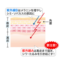 將圖片載入圖庫檢視器 SUNTORY 三得利 FAGE 熟齡肌UV防曬 粉底液 30g SPF50+ PA++++
